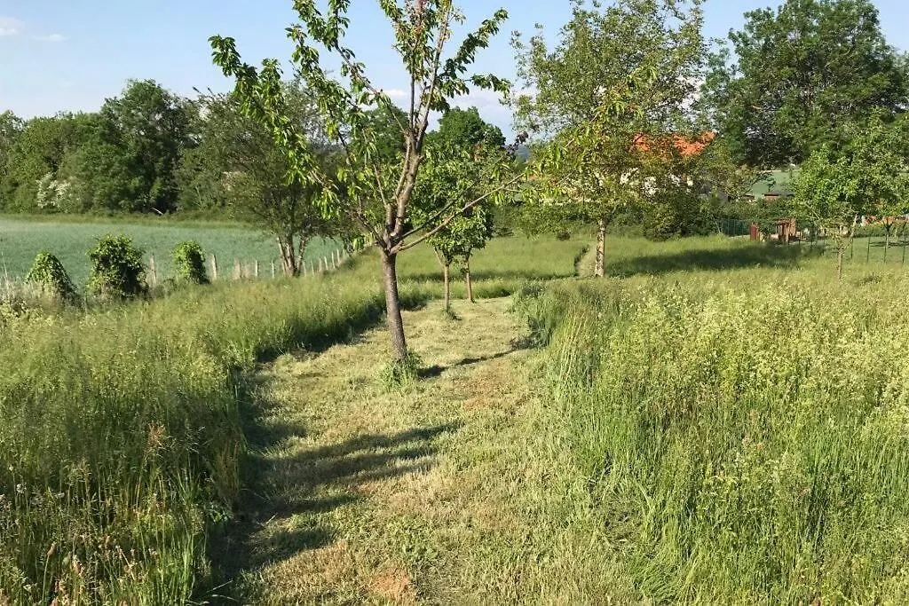 Le Hameau Du Buron - 
